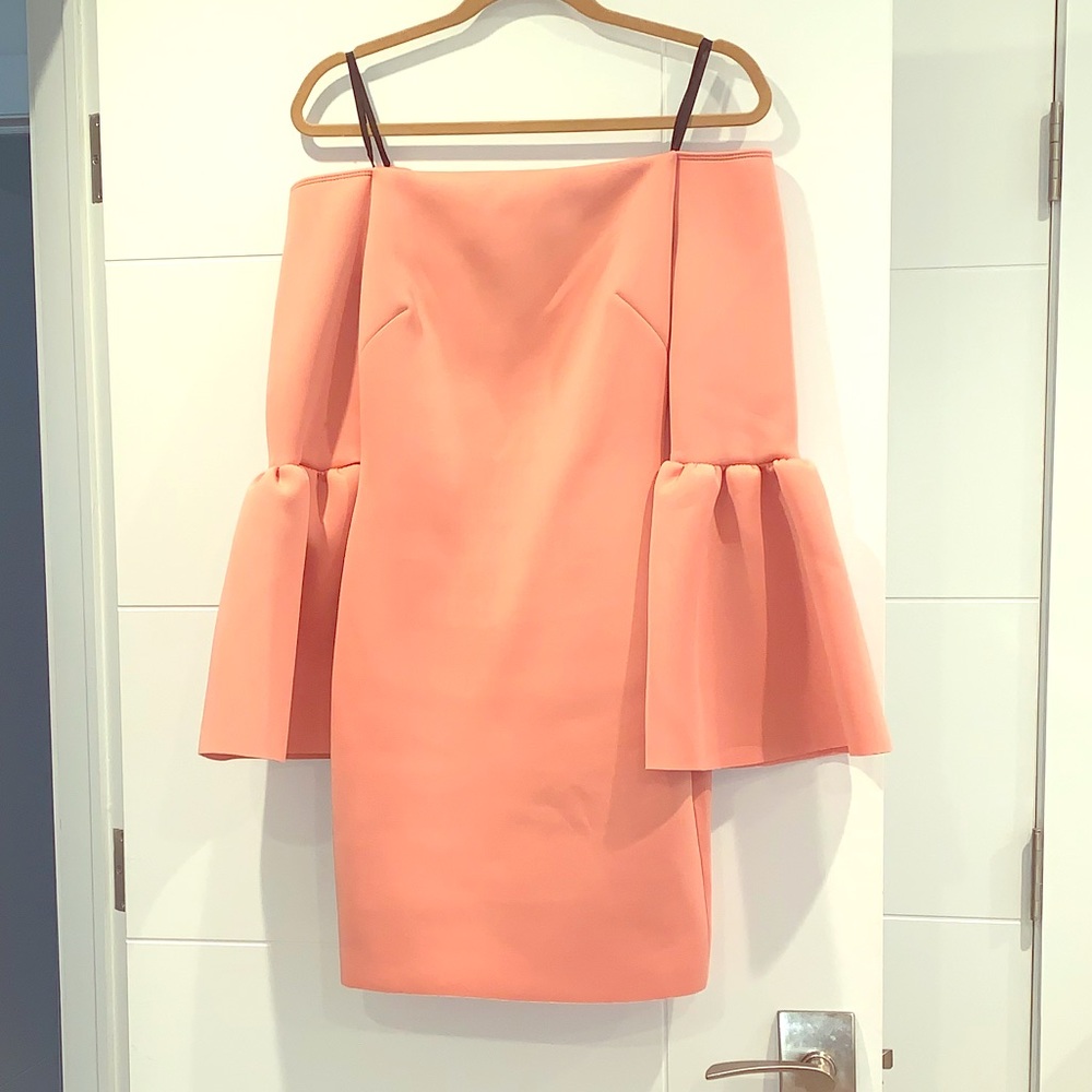 Bell Sleeve Dress